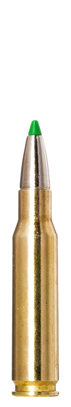 Norma Ecostrike .308 Winchester 10,7g / 165gr