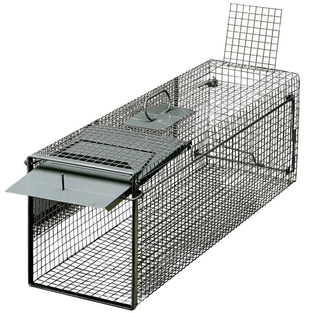 server5ddaad9fa7f2e Lebendfangfalle eintürig