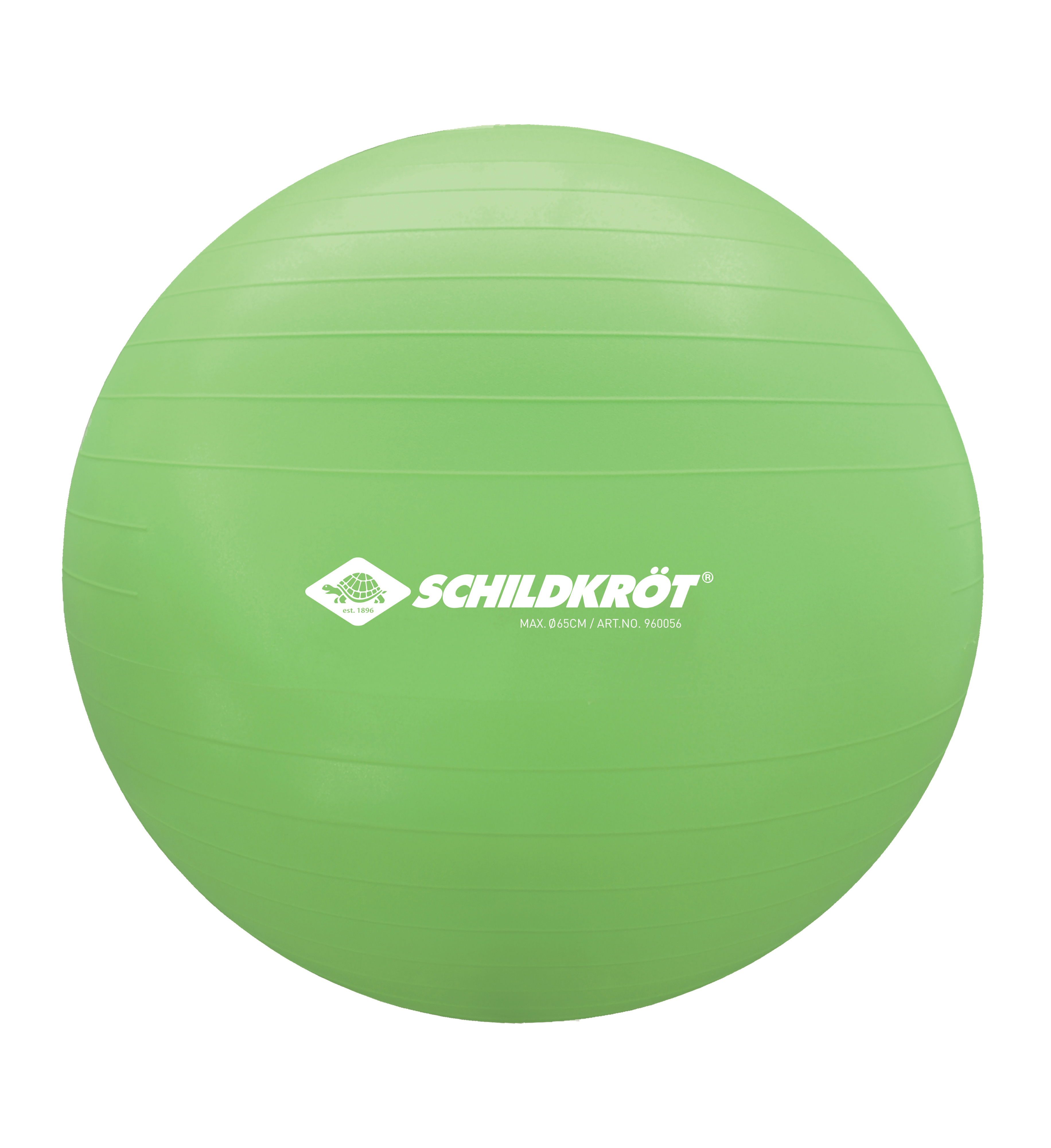 991113_3 Schildkröt Gymnastikball