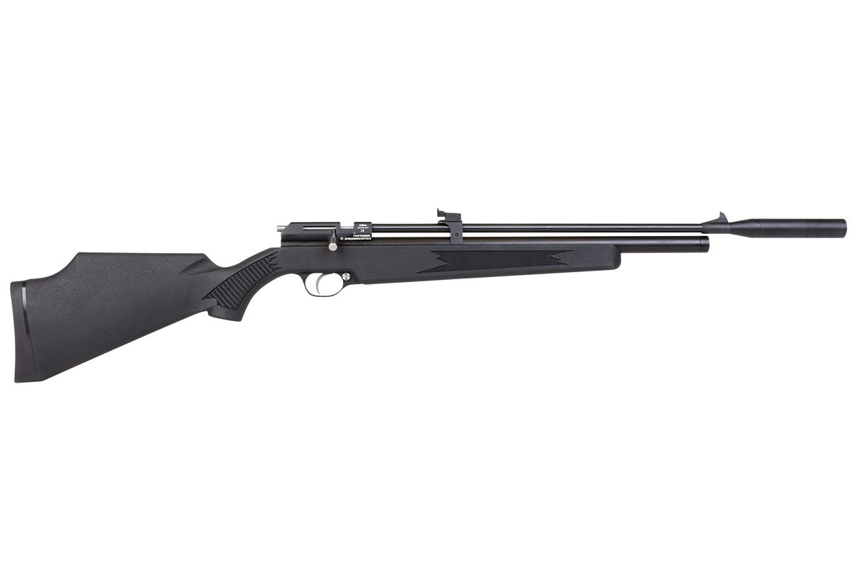 1900030_2_1920x1920 Diana Stormrider black 4,5mm Diabolo Pressluftgewehr
