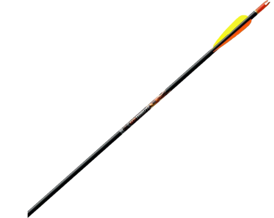 Easton 1616 Tribute XX75 Pfeil M3