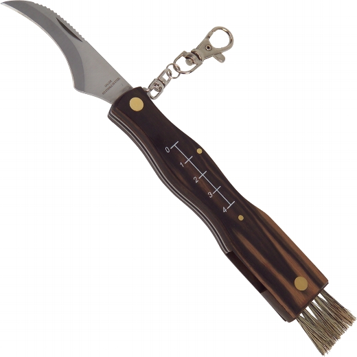 83285_g Haller Pilzmesser mit Holzgriff