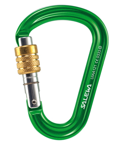 Salewa Karabiner HMS Pro