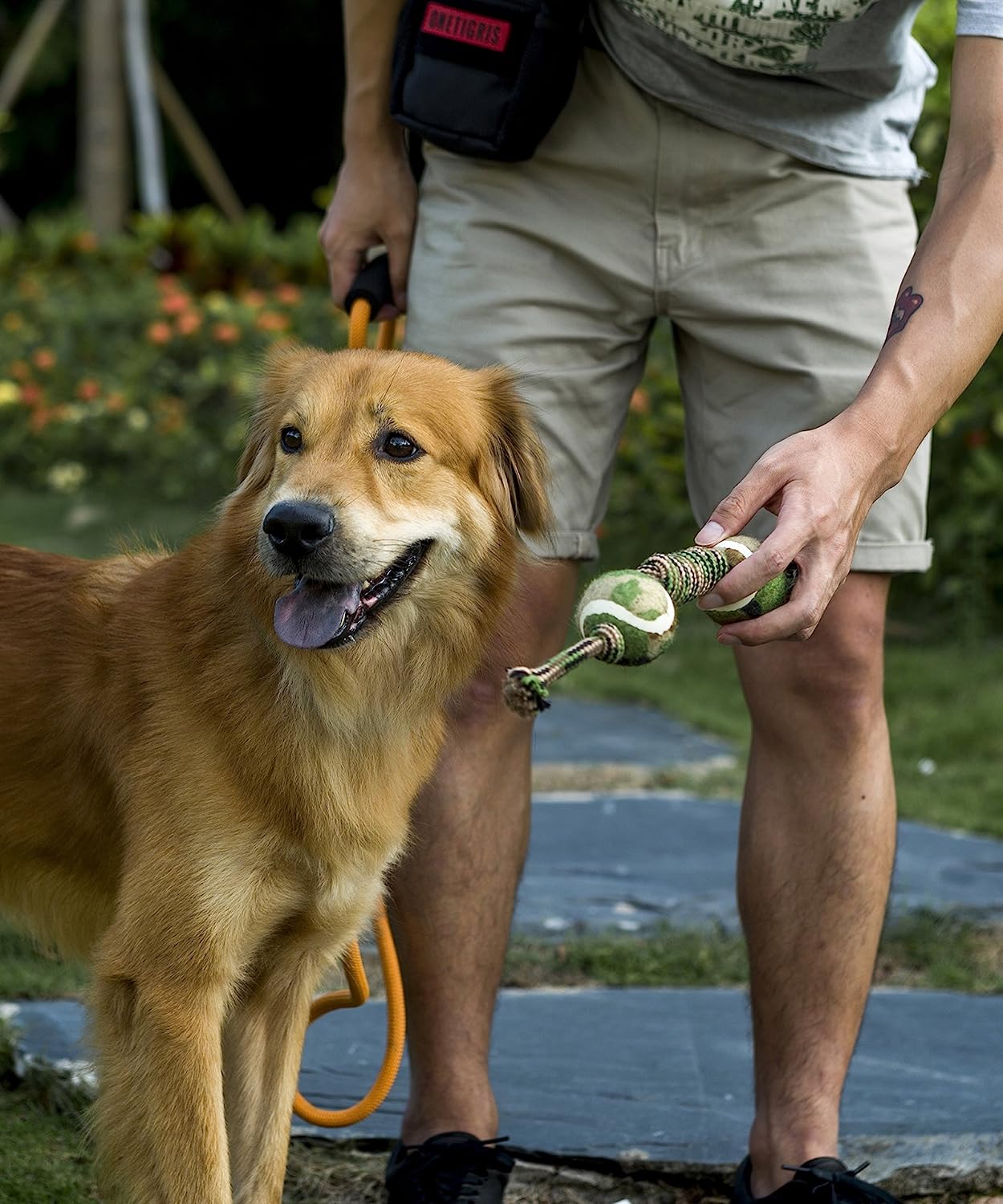 OneTigris Pet Molar Chew Kauspielzeug für kleine bis große Hunde