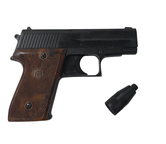 Röhm RG300
