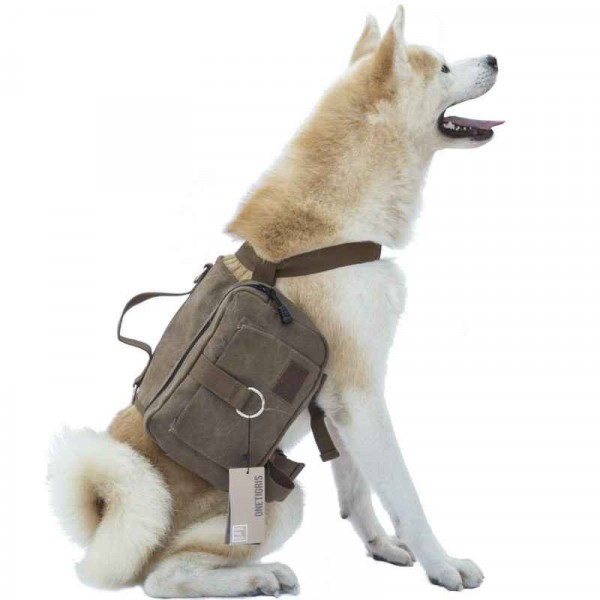 Hunderucksack für mittelgroße &amp; große Hunde Zubehör für